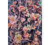 Седум такесимський  " Атлантіс" (Sedum takesimense 'Atlantis')